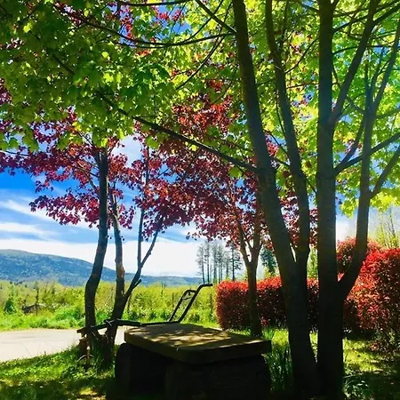 La Fontanella 3* Serra San Bruno