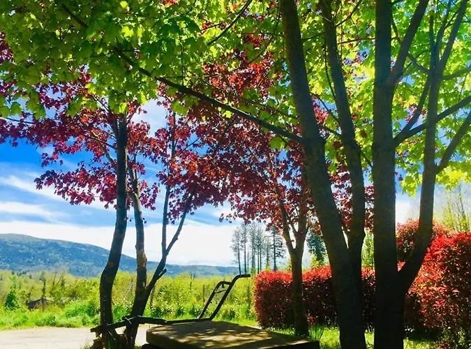 La Fontanella 3* 塞拉圣布鲁诺